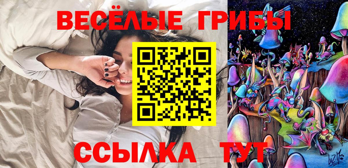 Псилоцибиновые грибы MAGIC MUSHROOMS Павлово